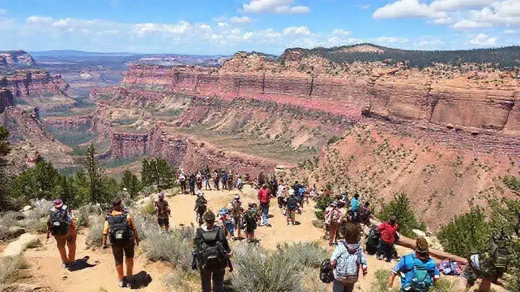 Tips for visitors during peak times